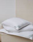 Lucerne comforter and pillow