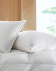 Copenhagen comforter with 2 pillows