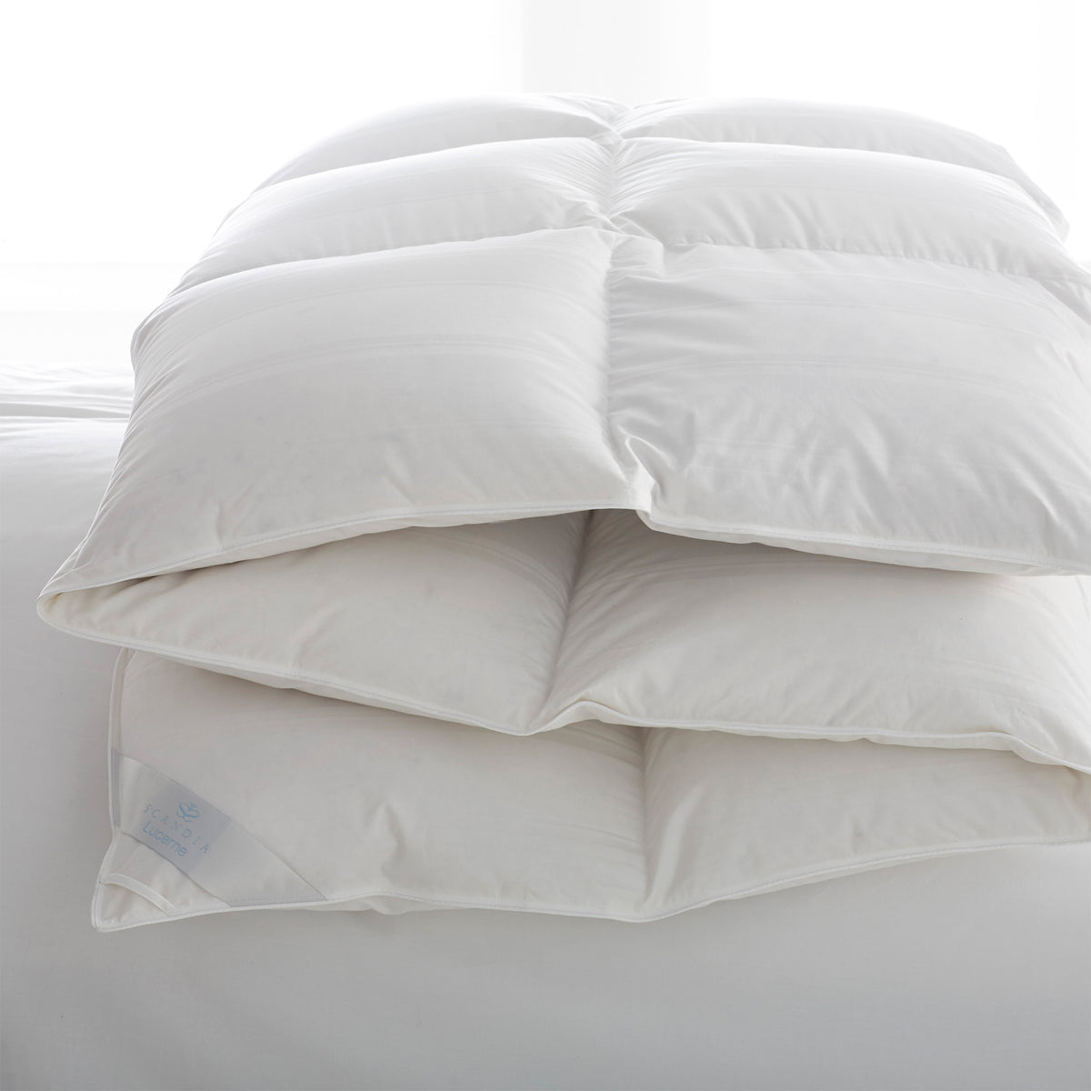 Scandia Home Lucerne Soft Down Pillow, Standard - White