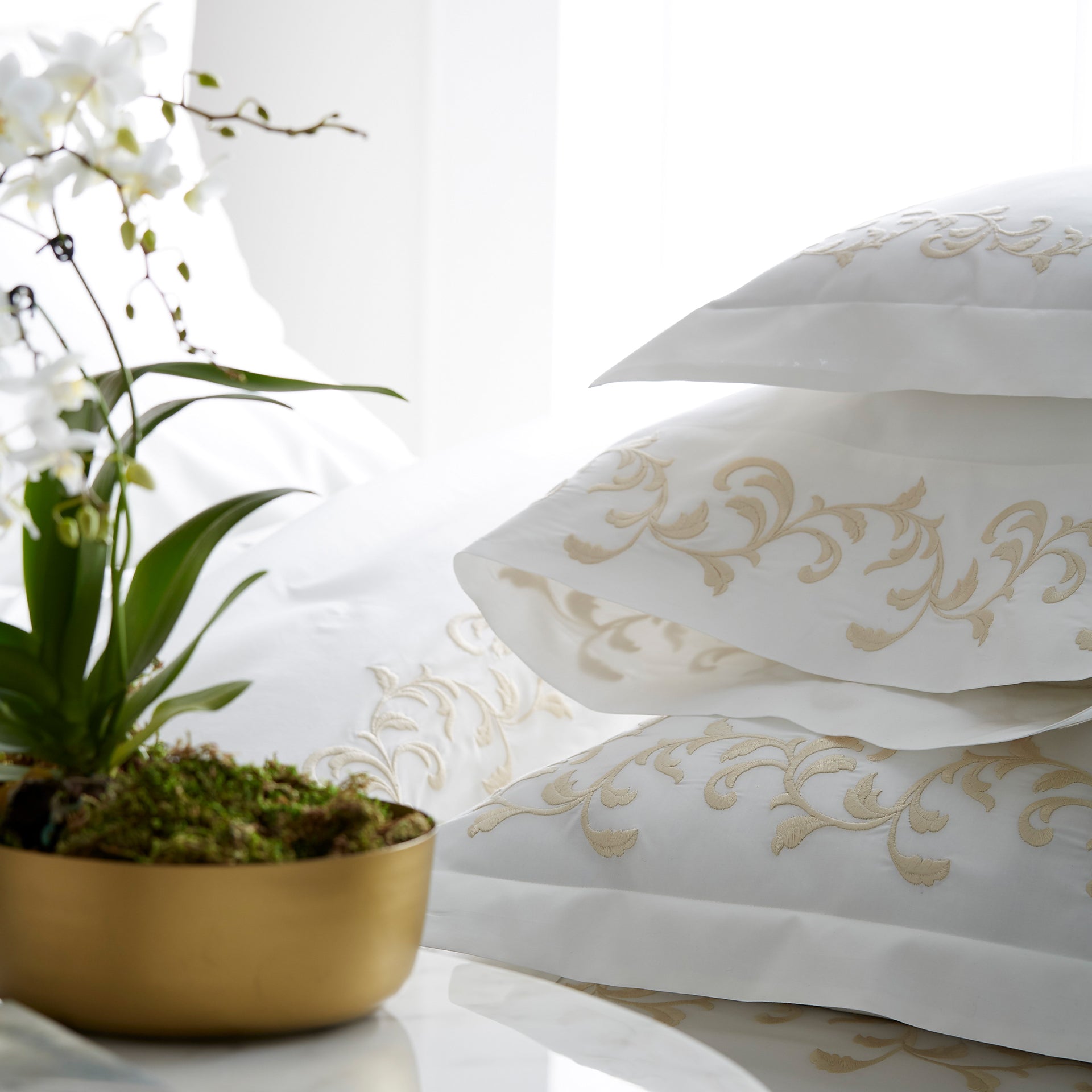 san remo pillowcase showing detail of scroll embroidery detail and hemstitch in the color cornsilk &amp; ivory, 