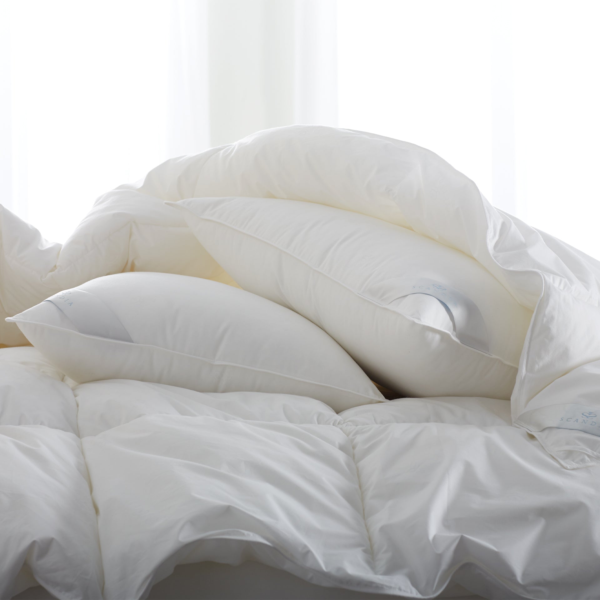 scandia home bergen down free pillows underneath the bergen down free comforter